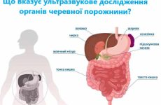 Ультразвукове дослідження органів черевної порожнини